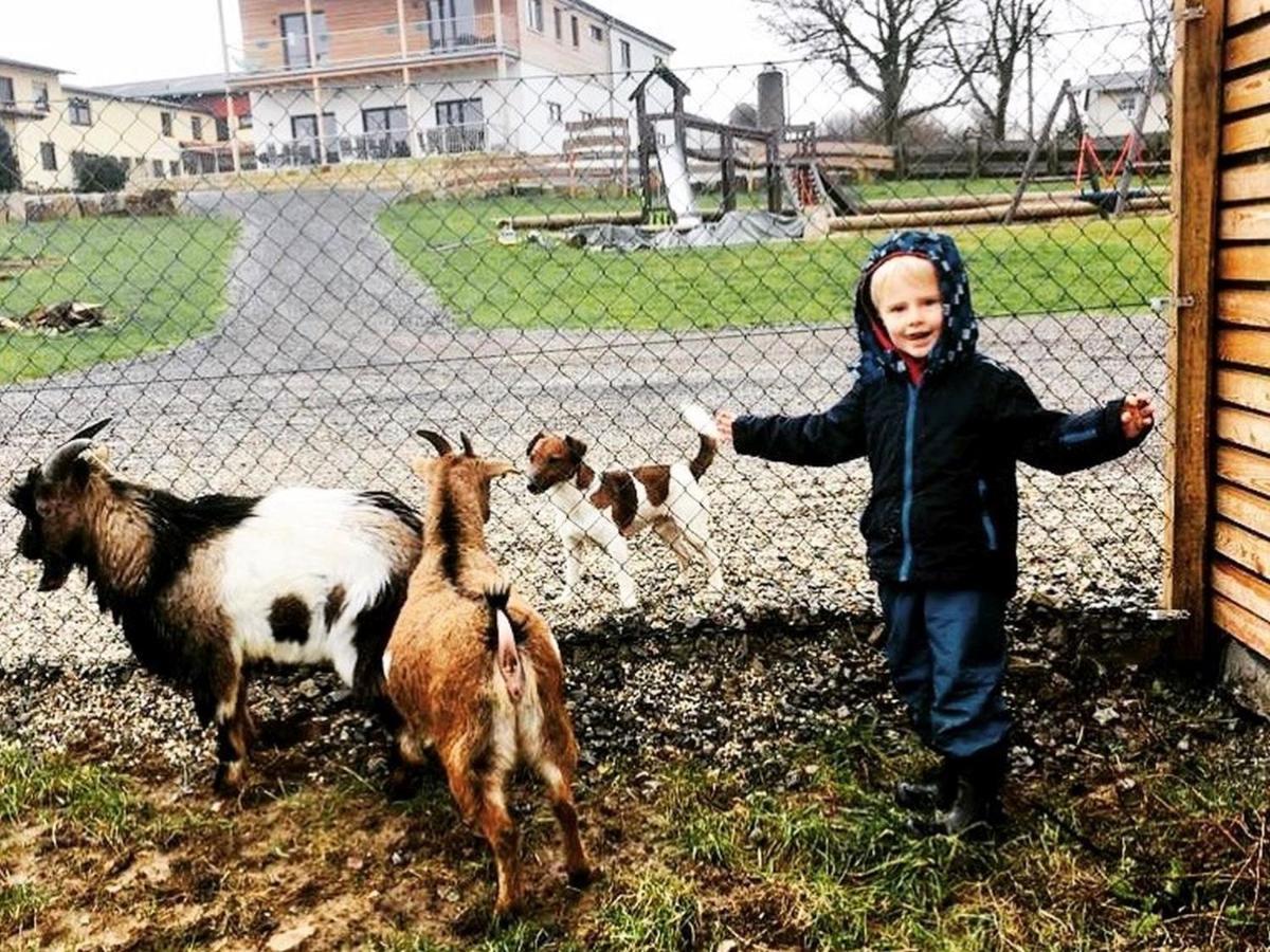 Soodehof Eins Daire Hofgeismar Dış mekan fotoğraf